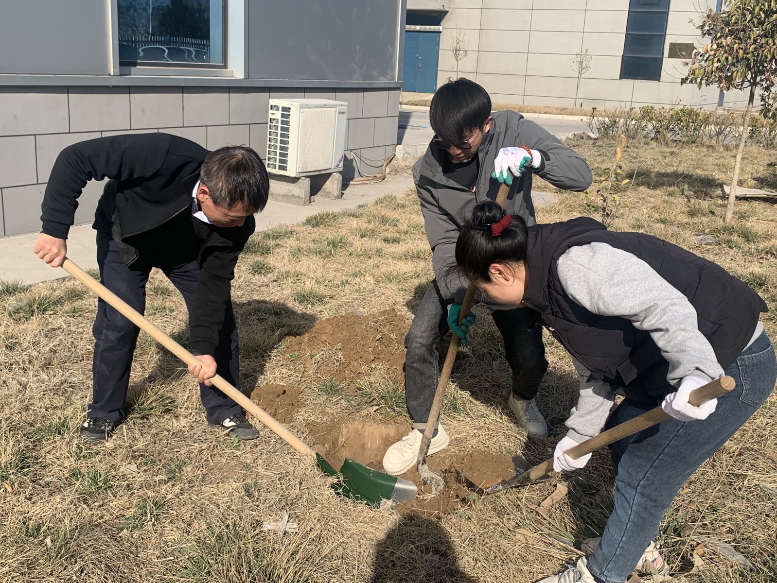 2025奥门原料免费资料