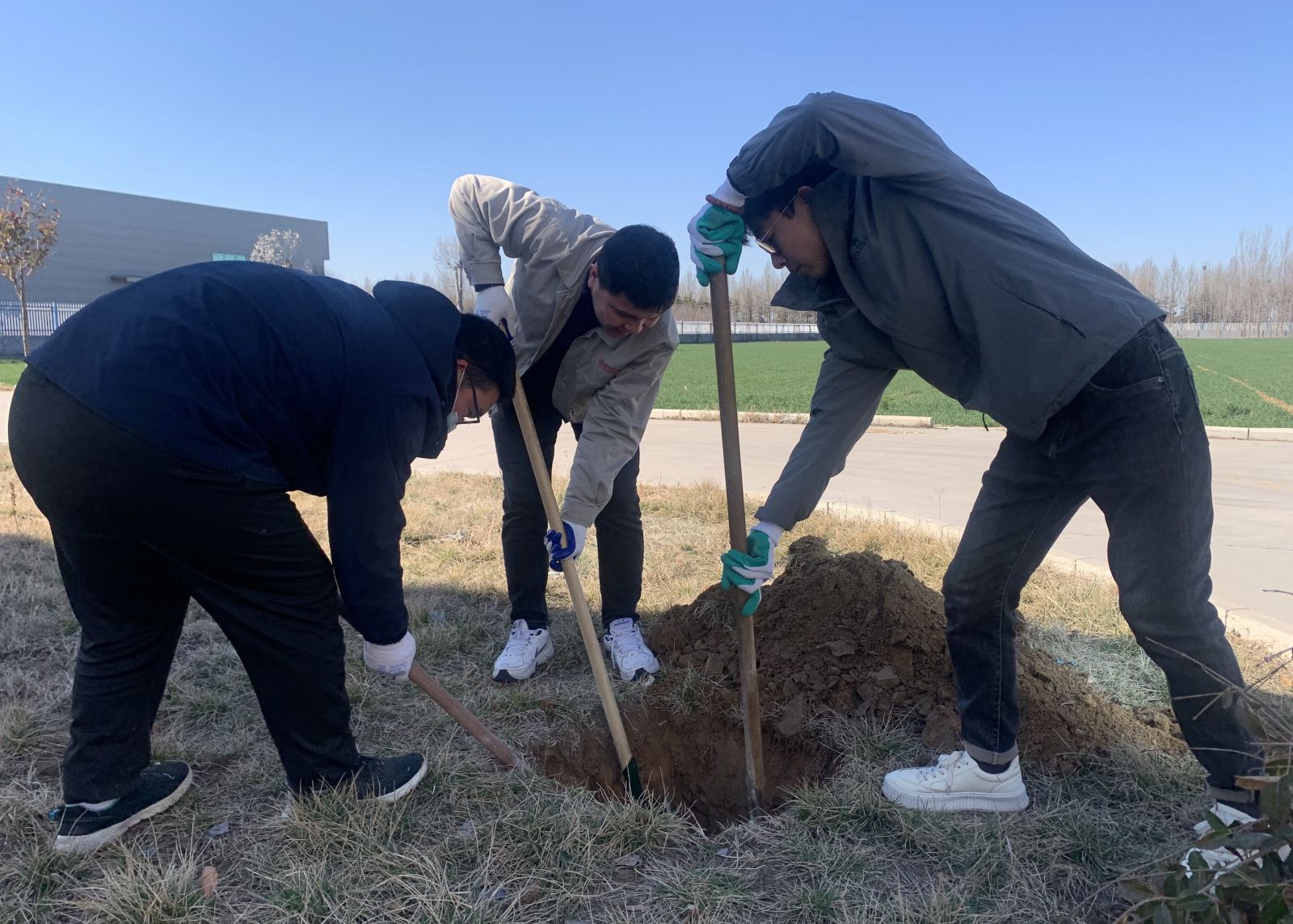 2025奥门原料免费资料