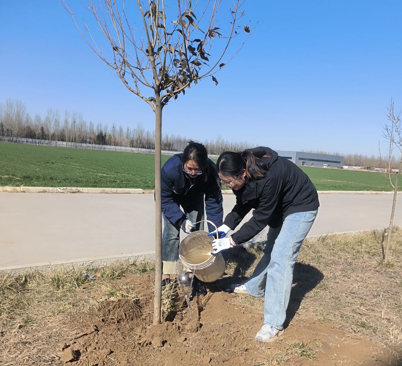 2025奥门原料免费资料