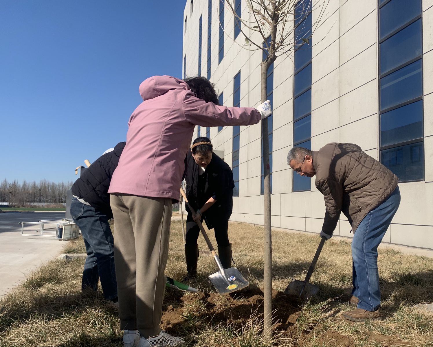 2025奥门原料免费资料