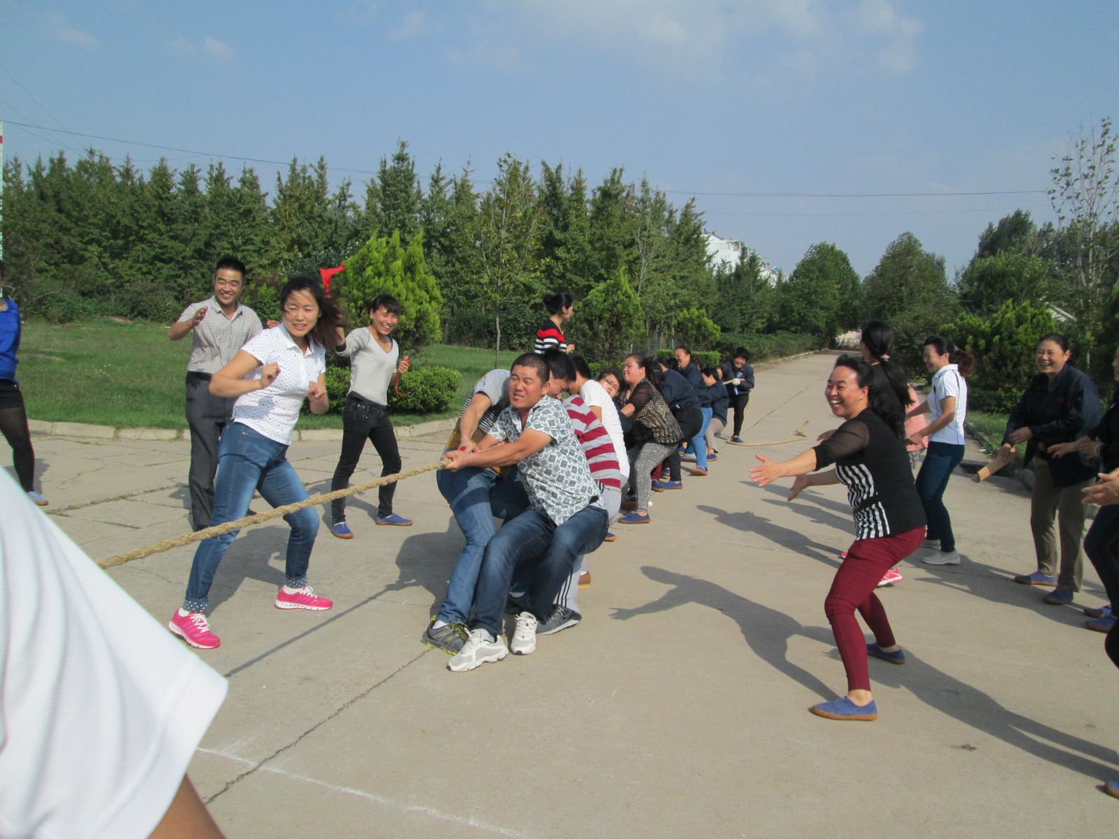 2025奥门原料免费资料