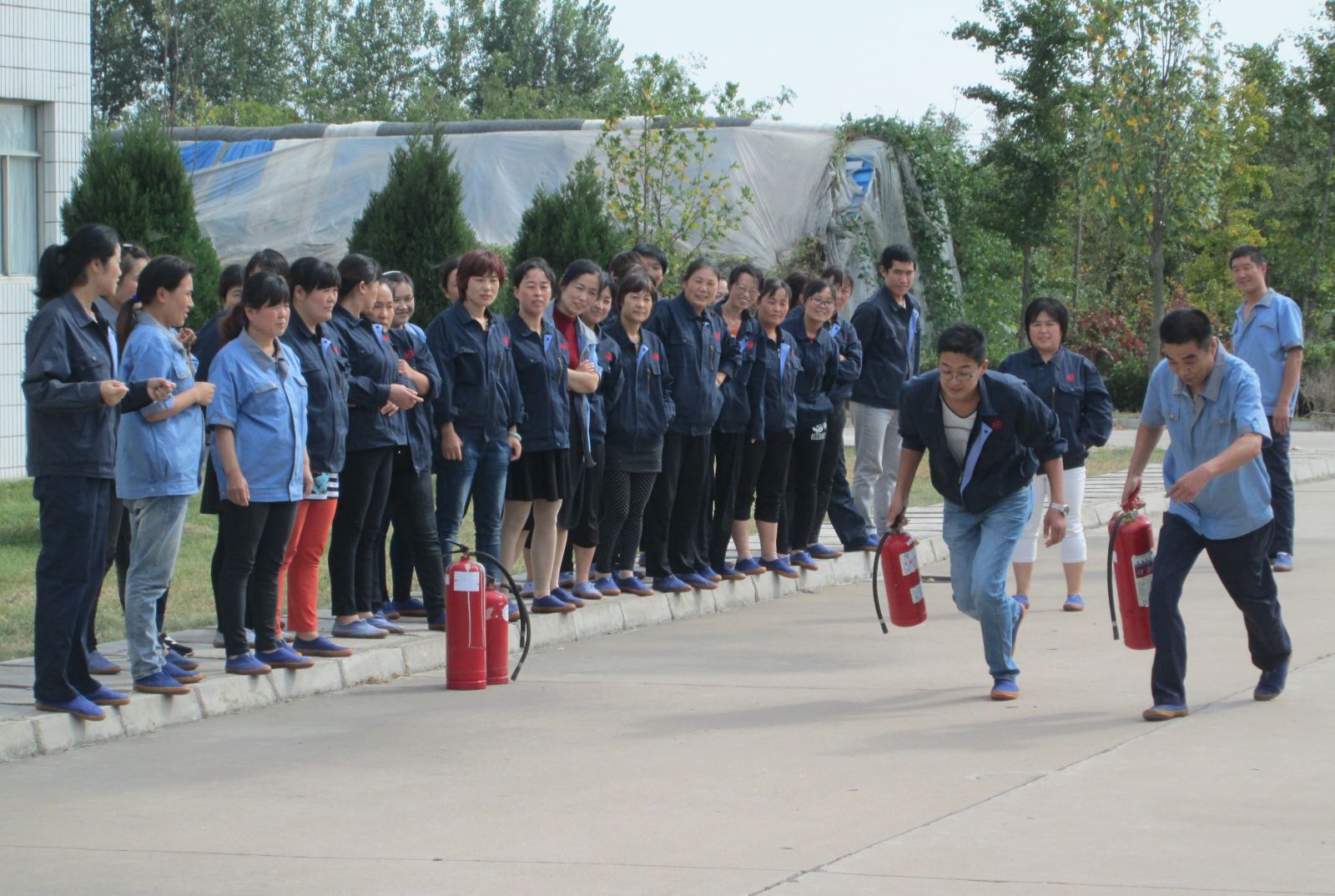 2025奥门原料免费资料