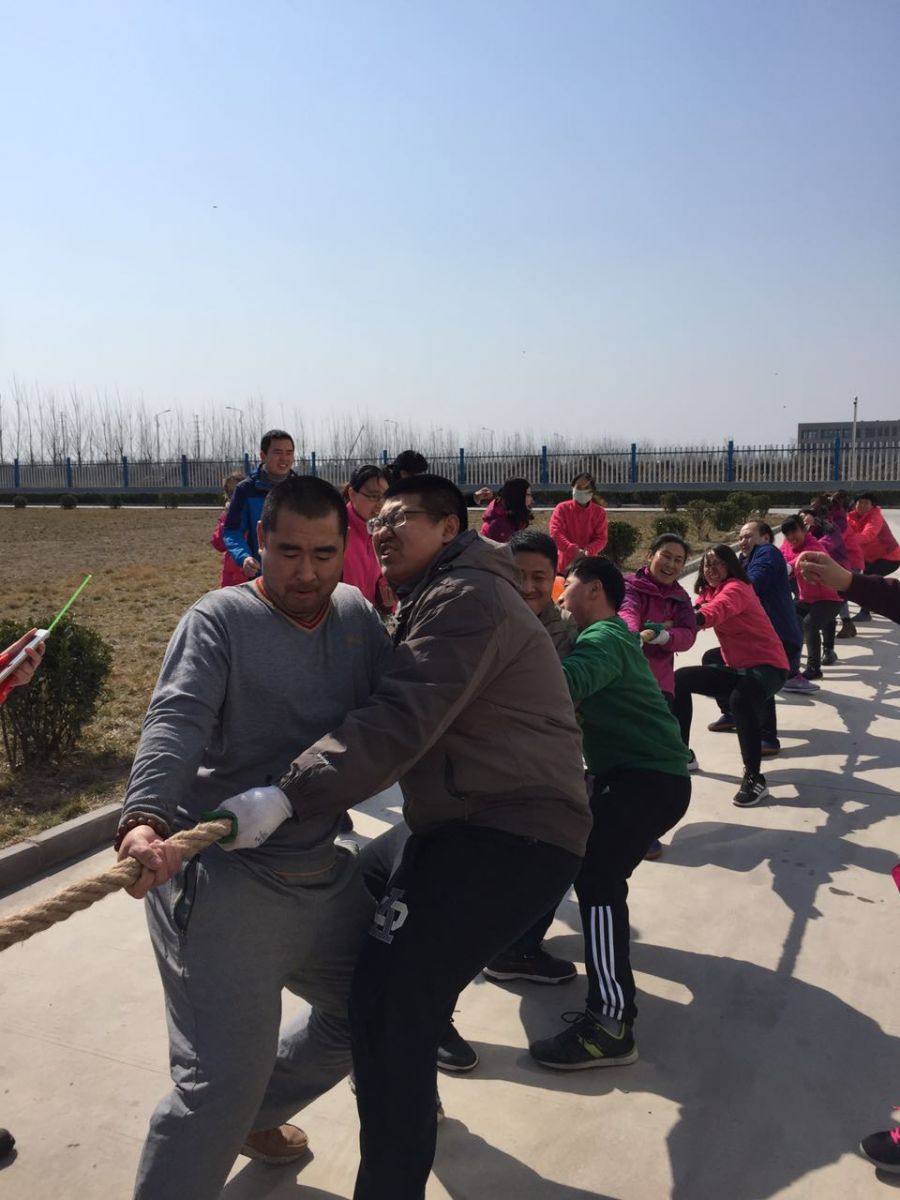 2025奥门原料免费资料